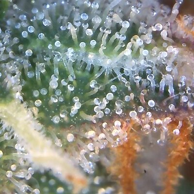 Image_2025-11-02 07_44_36_677.jpg