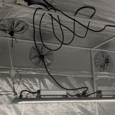 Media 'IMG_1244.png' in category 'Nancy's Own'