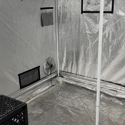 Media 'IMG_1242.png' in category 'Nancy's Own'