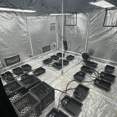 Media 'IMG_7167.jpeg' in category 'Nancy's Own'