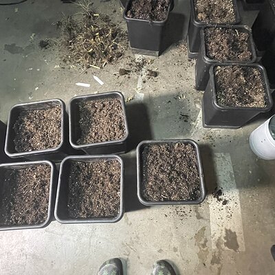 Media 'IMG_7169.jpeg' in category 'Nancy's Own'