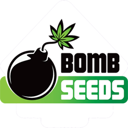 Bomb-Seeds-250x250.png
