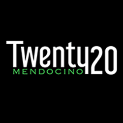 twenty20250x250logo.png