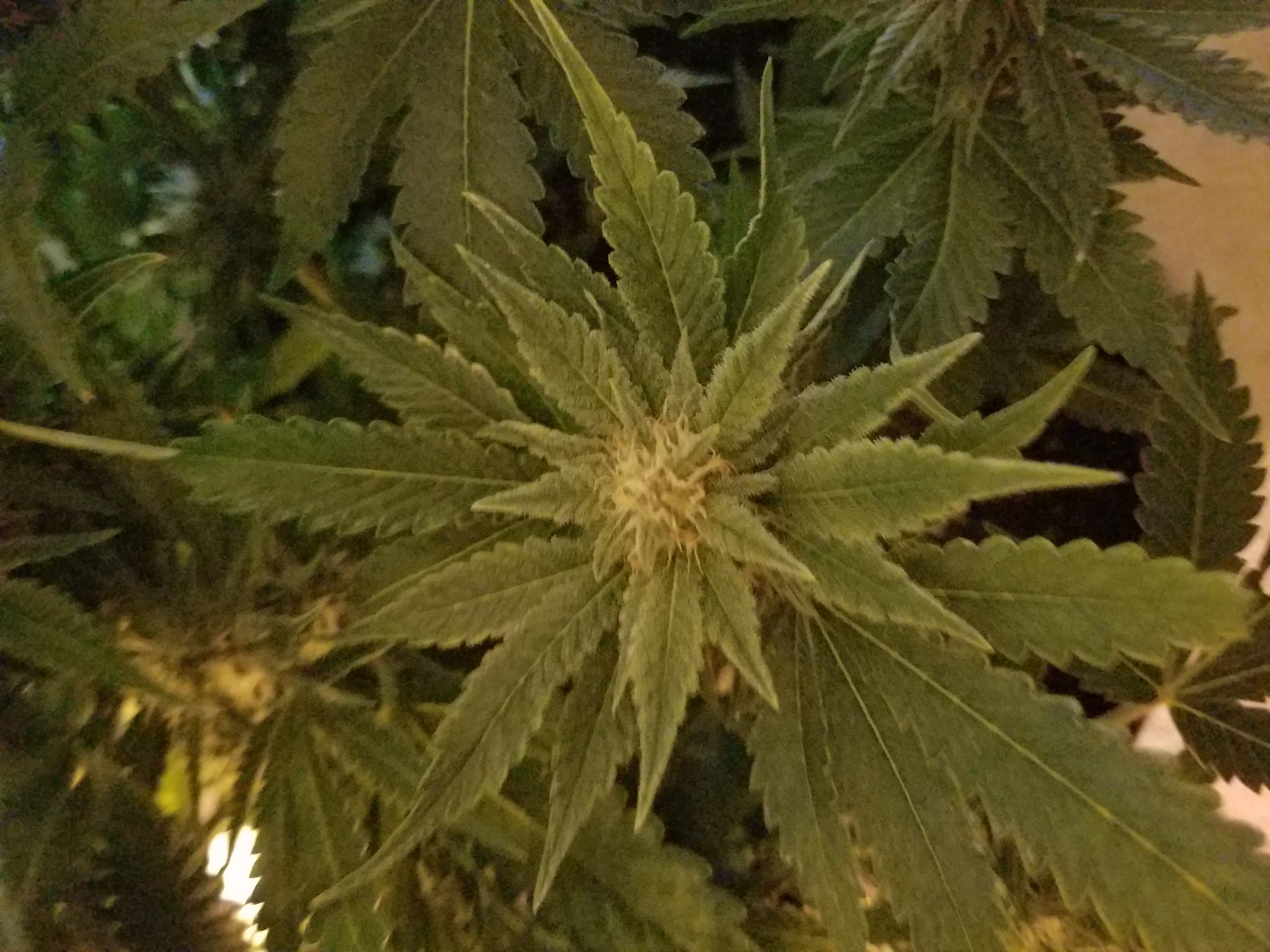 20181103_165122_001