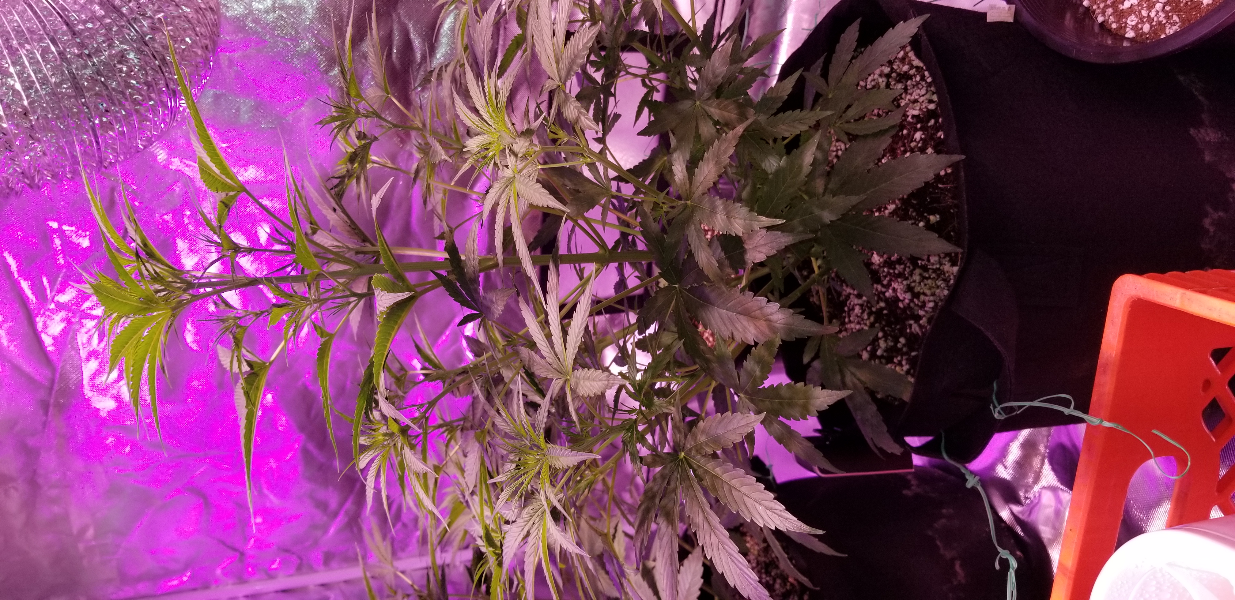 20190422_140036