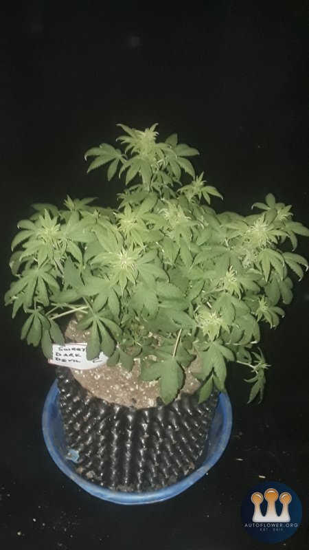 20191004_073546.jpg