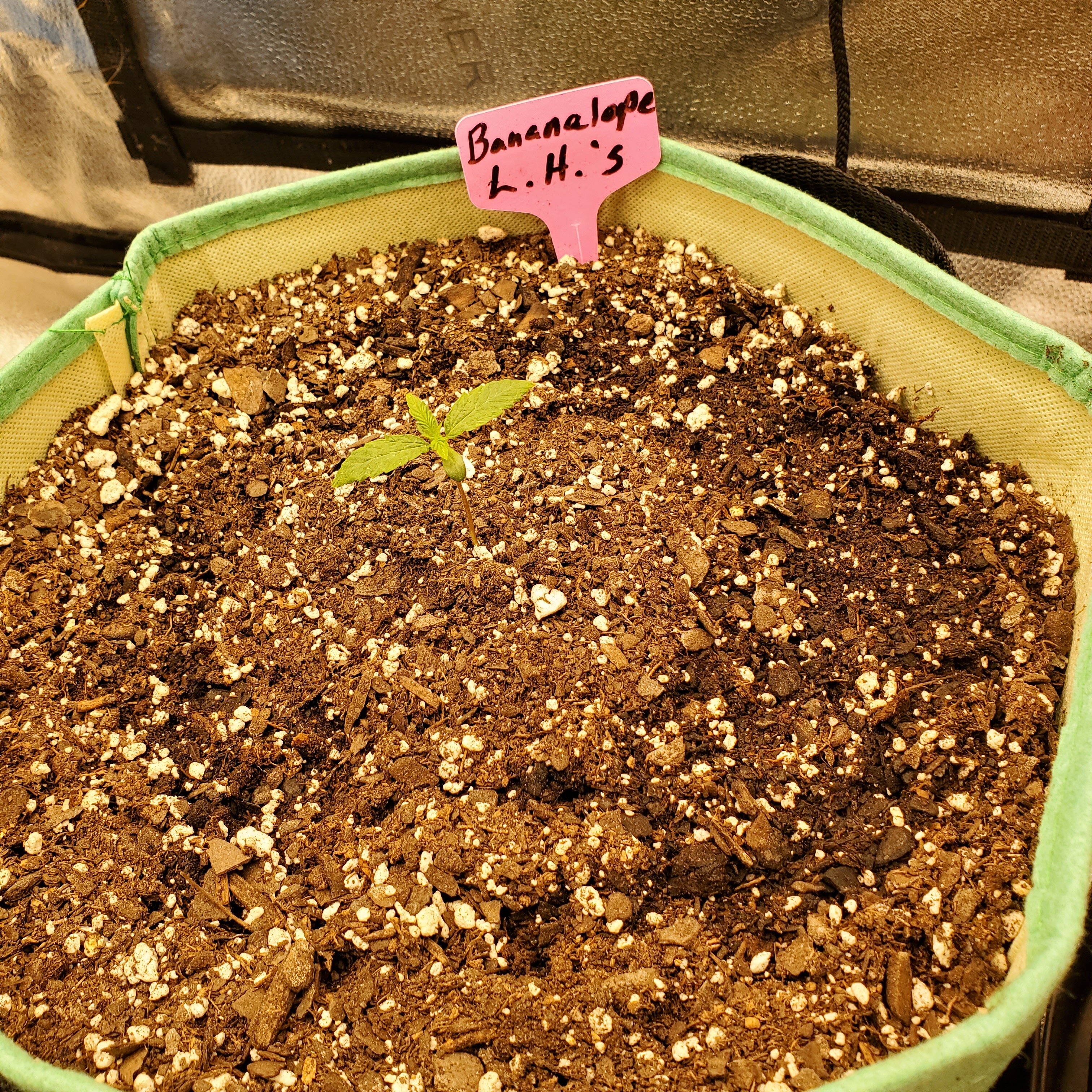 20250505_154519 - Copy.jpg