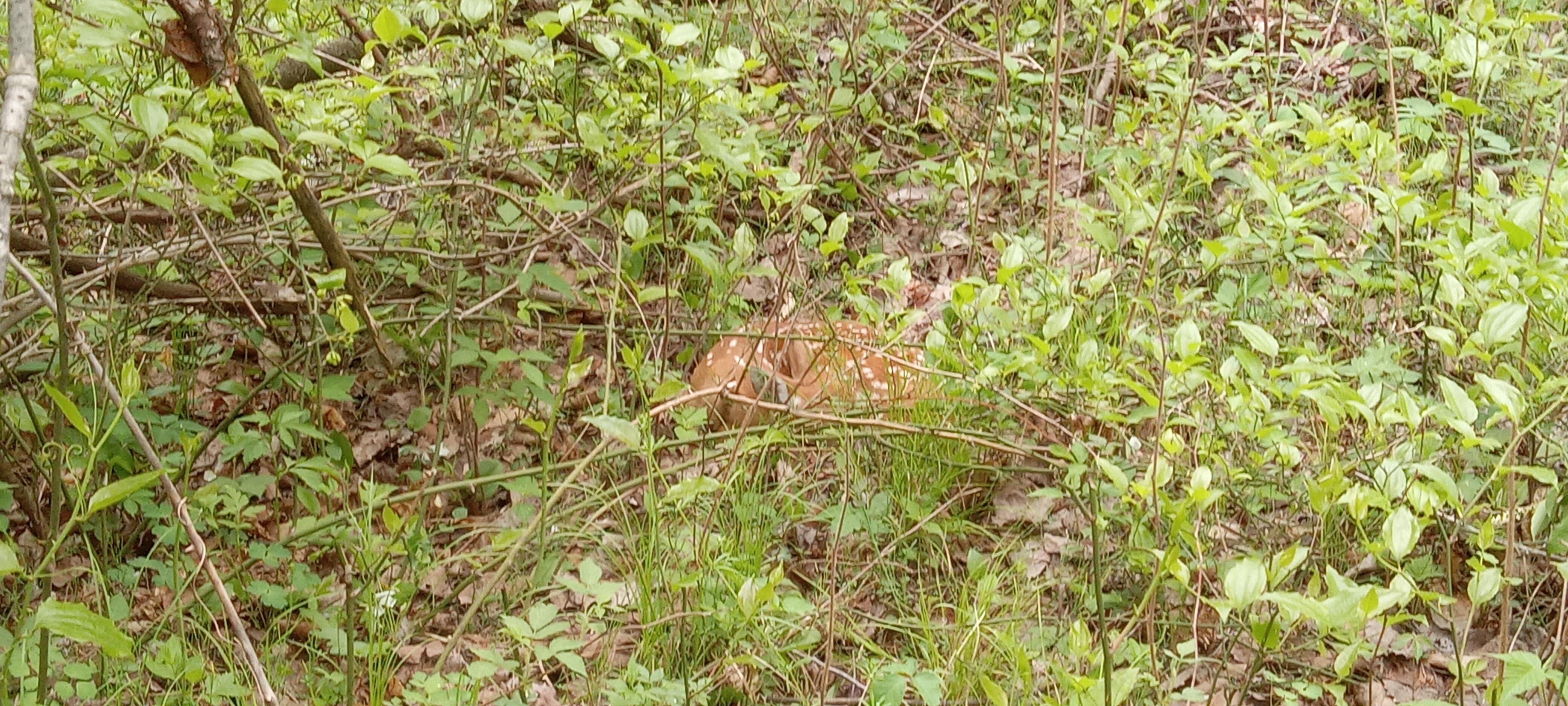 20250517_141553[1].jpg