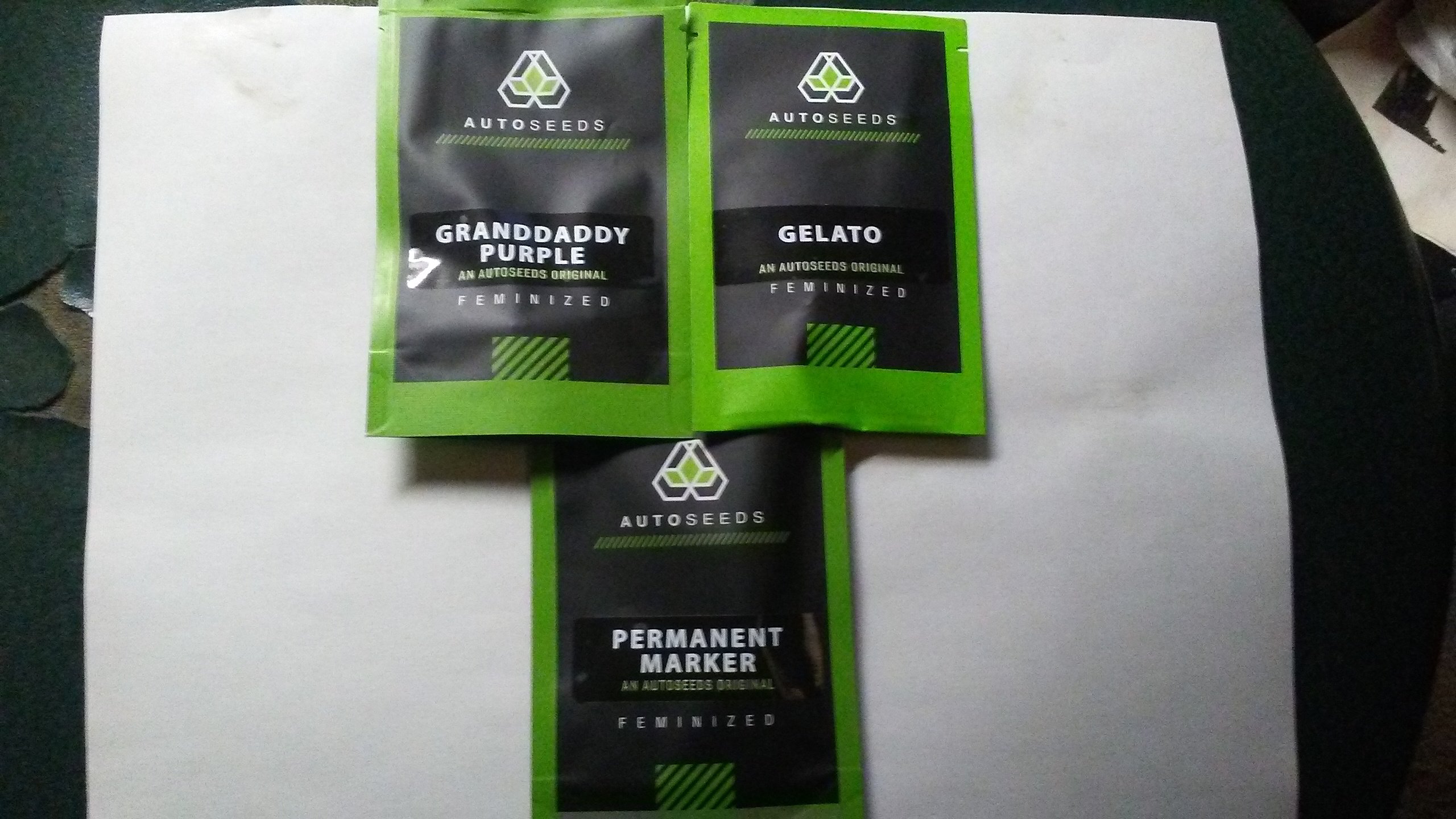 20250519_164432.jpg