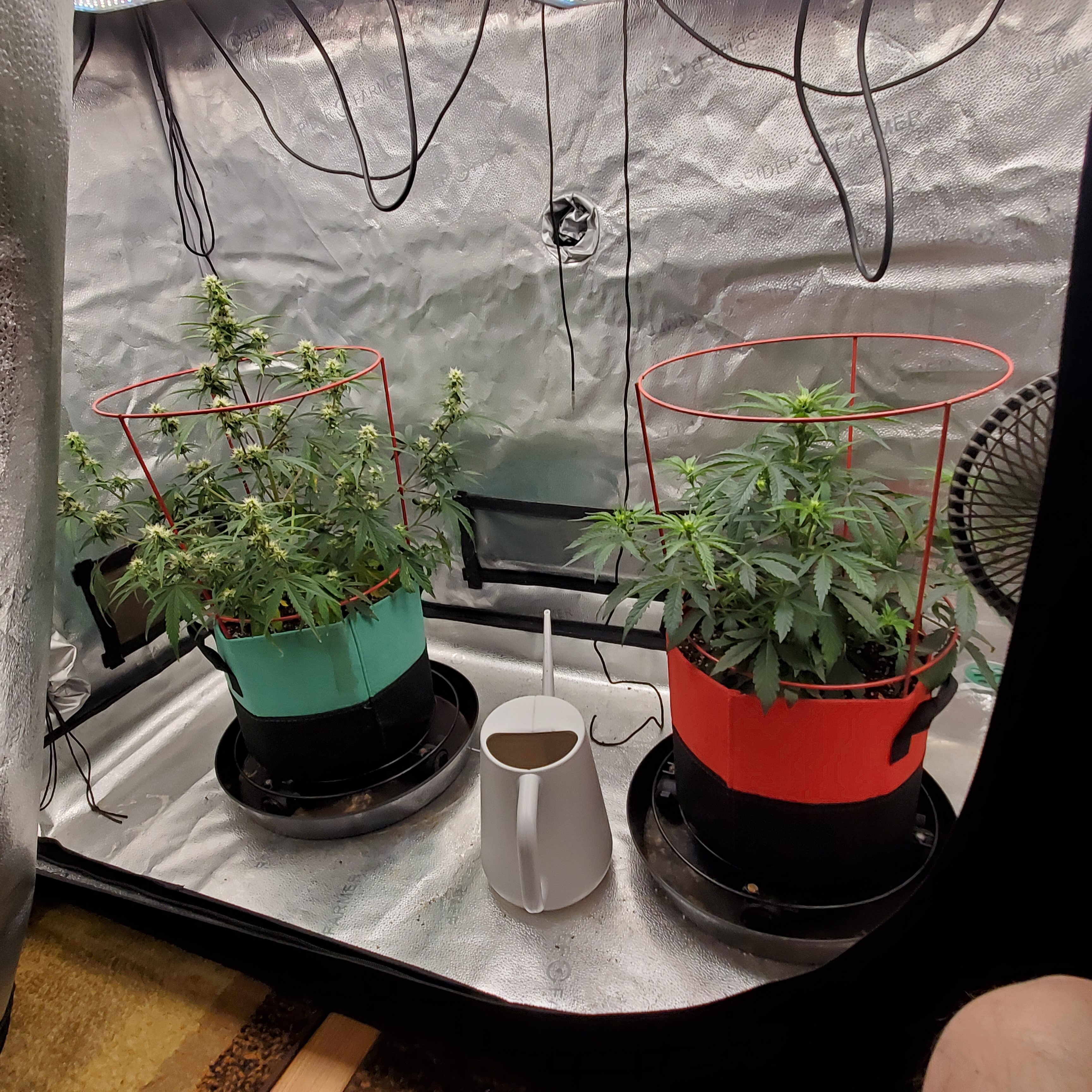 20250610_092932 - Copy.jpg