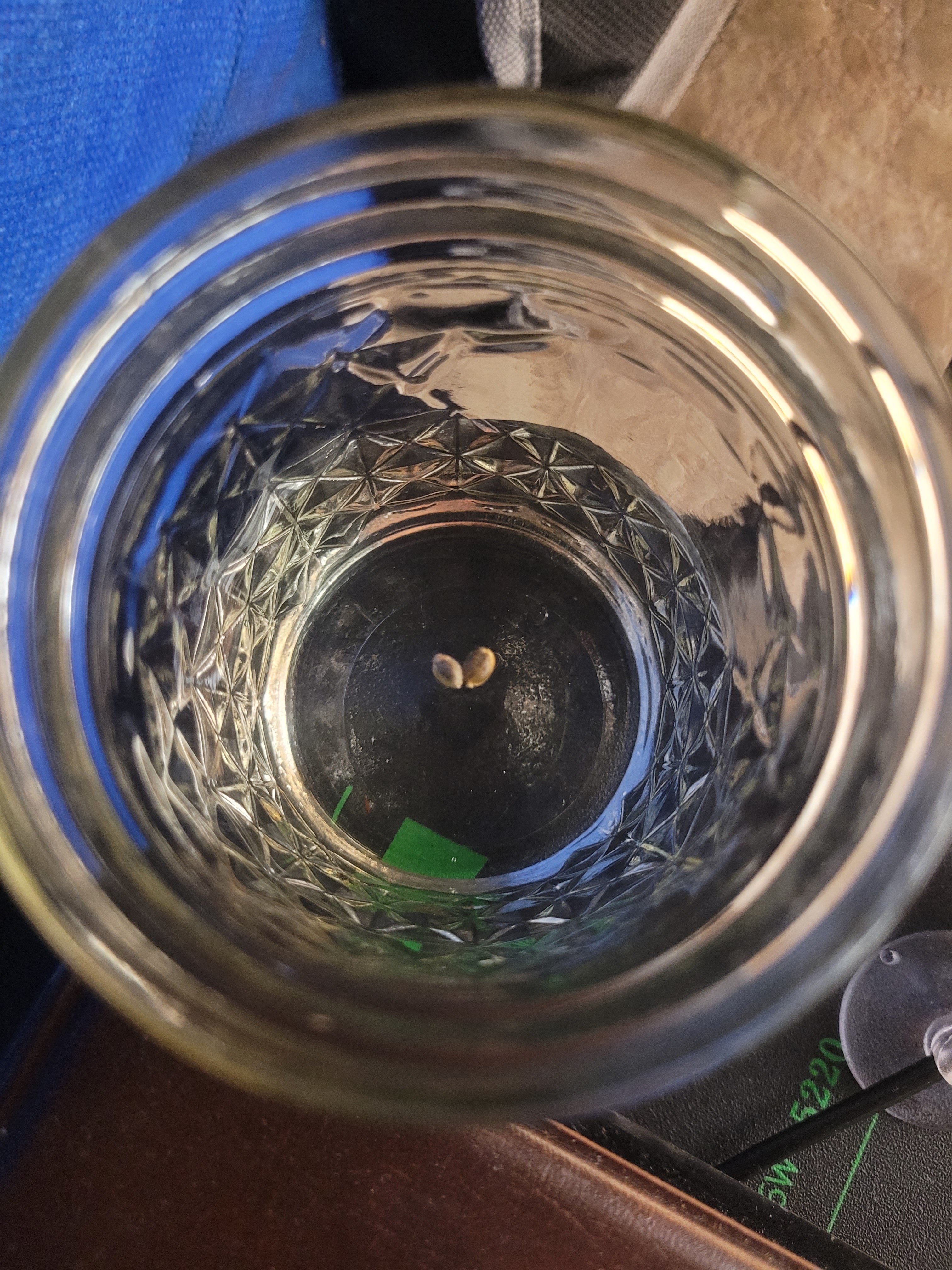 20250728_202416.jpg