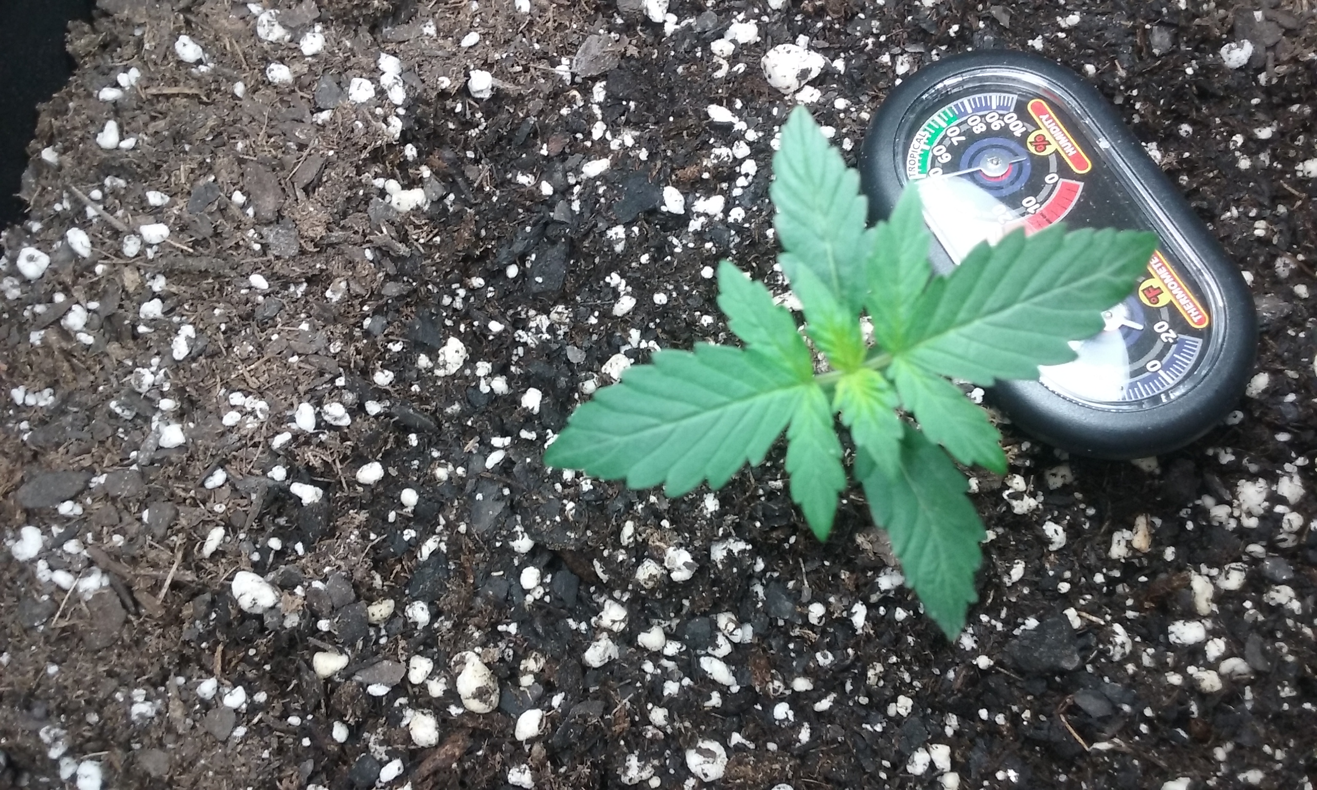 Day 14