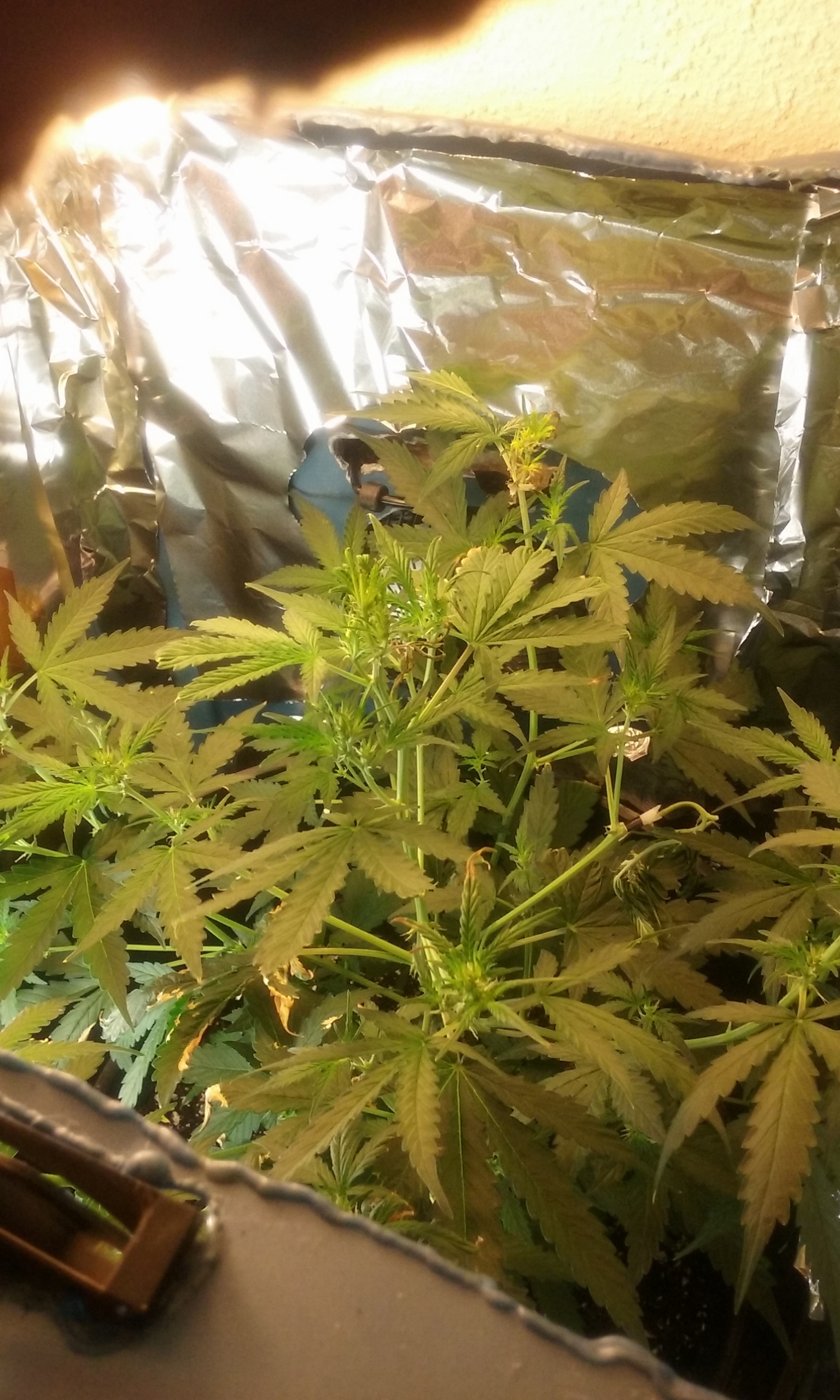 Day 41