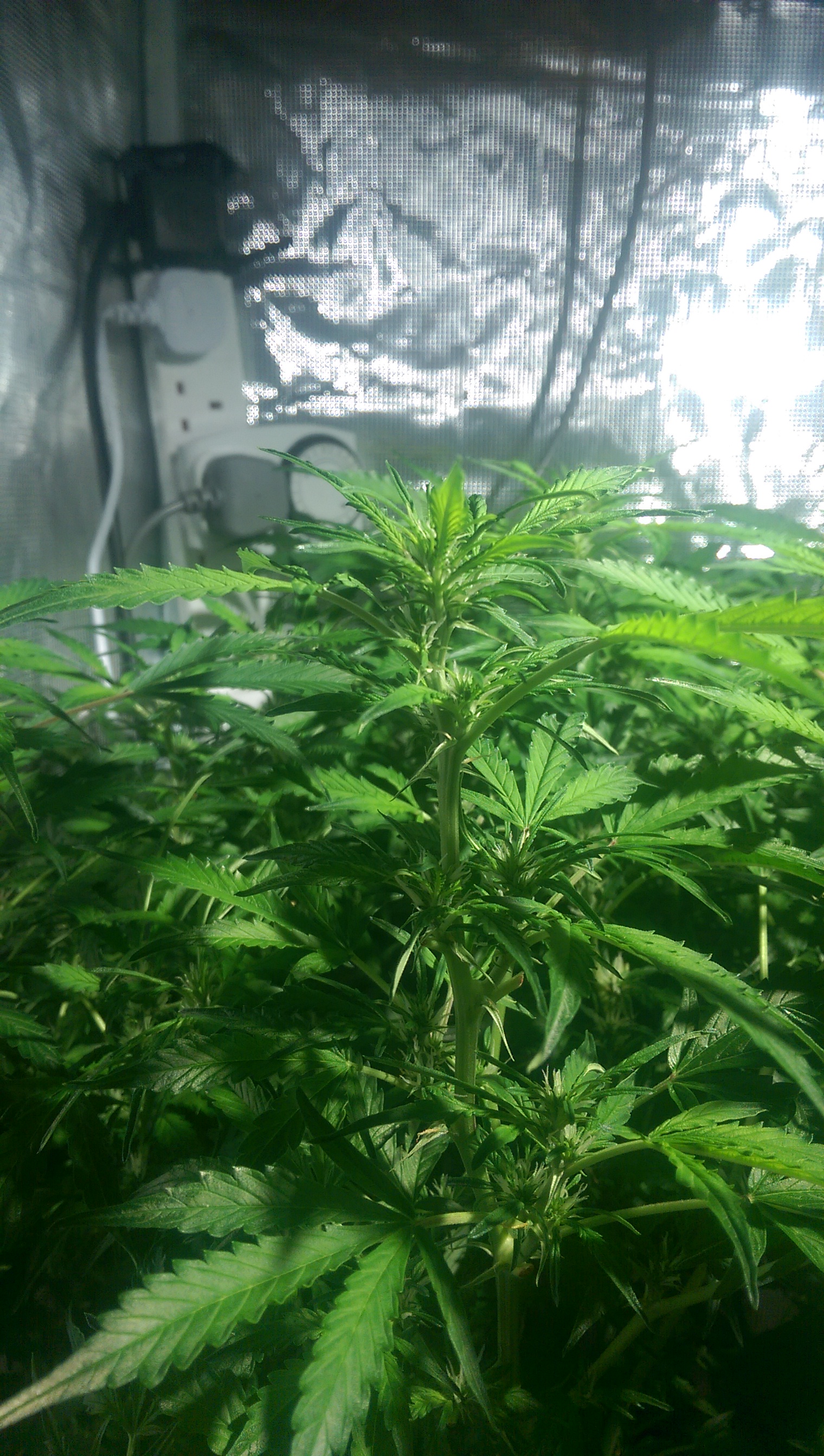 Day 74