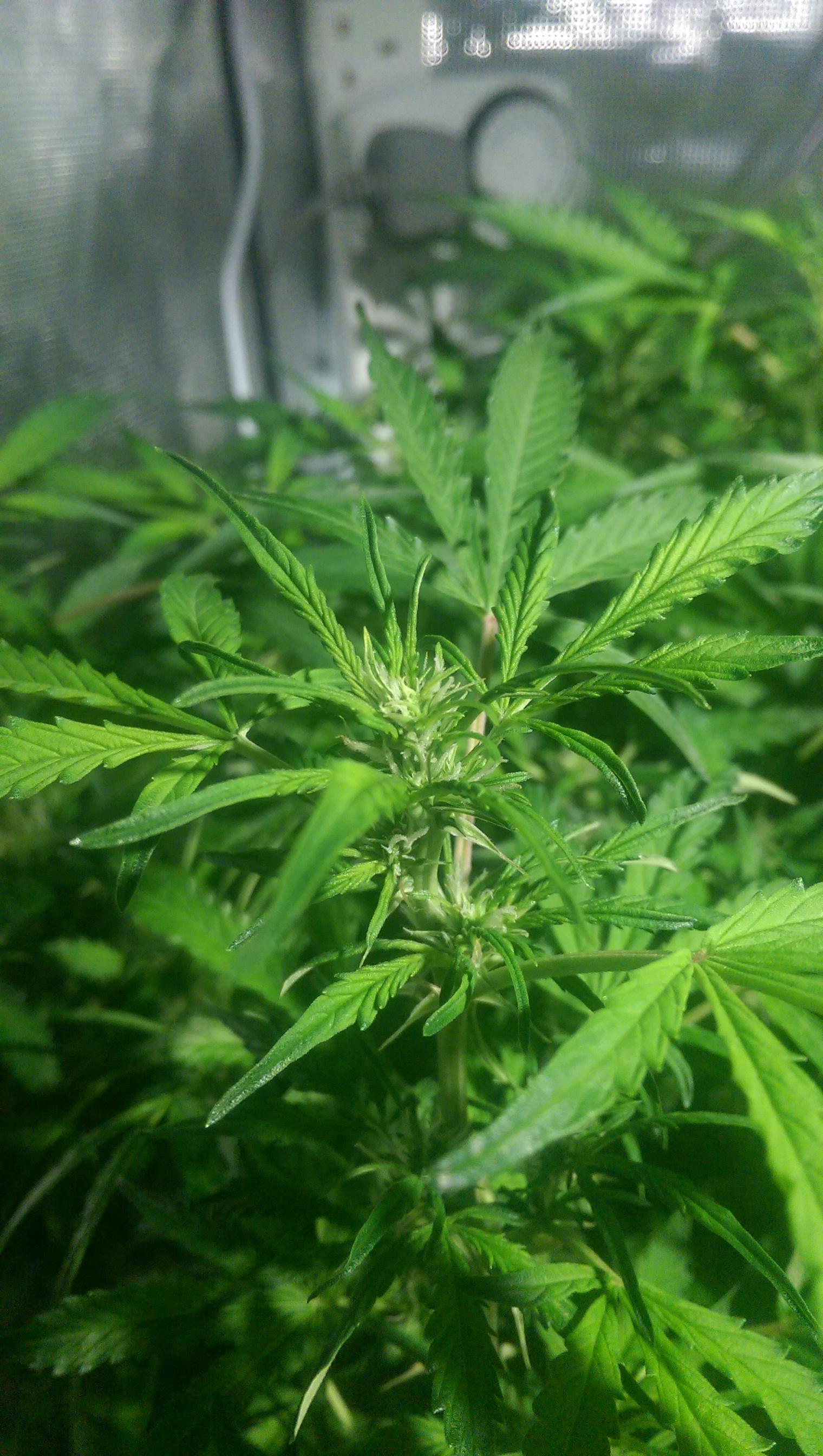 Day 74