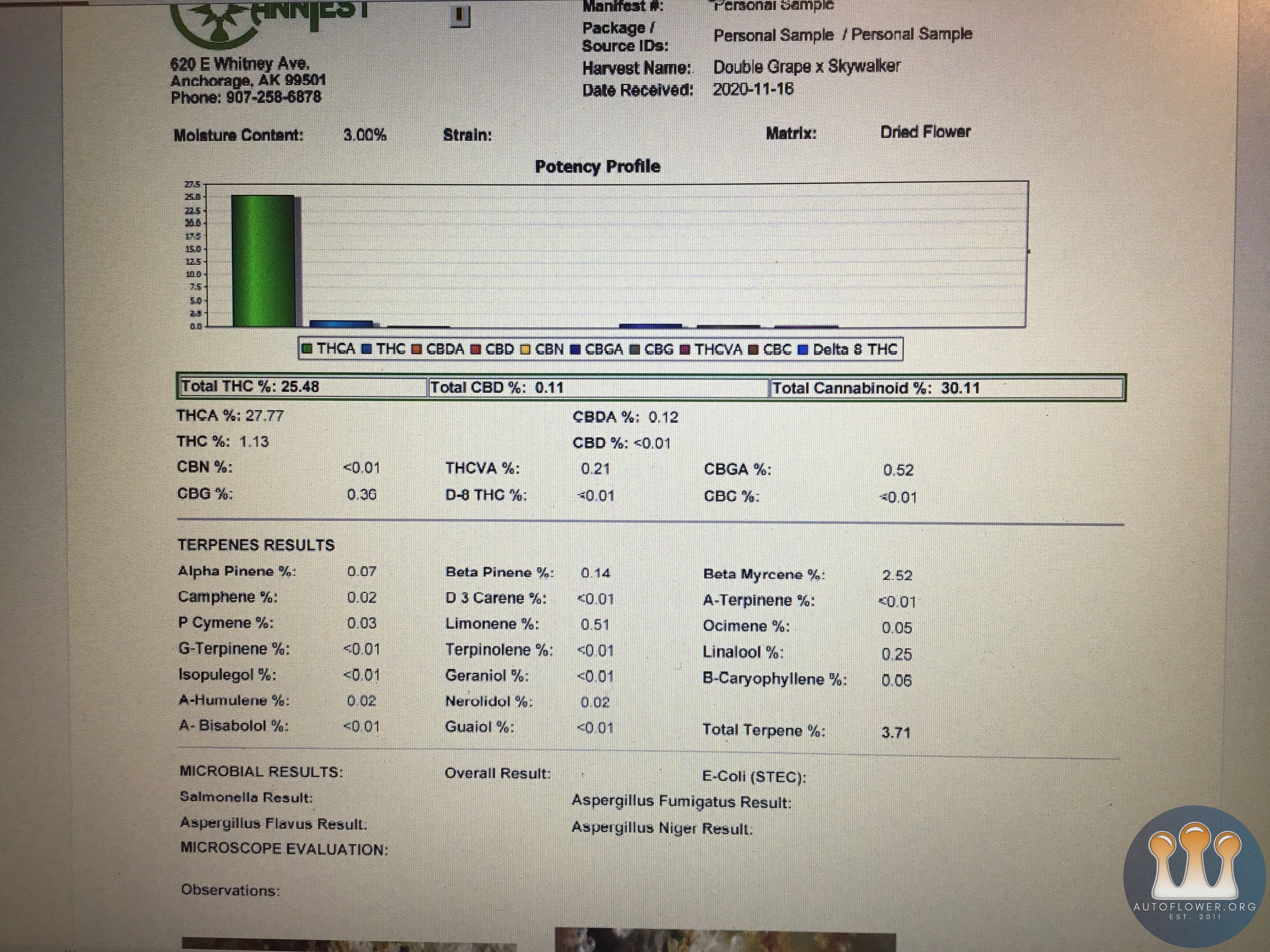 Double Grape x Skywalker test results