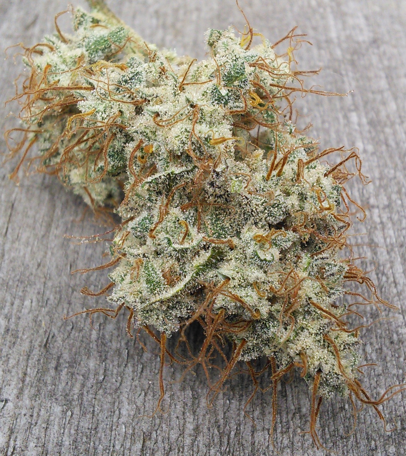 Double Grape