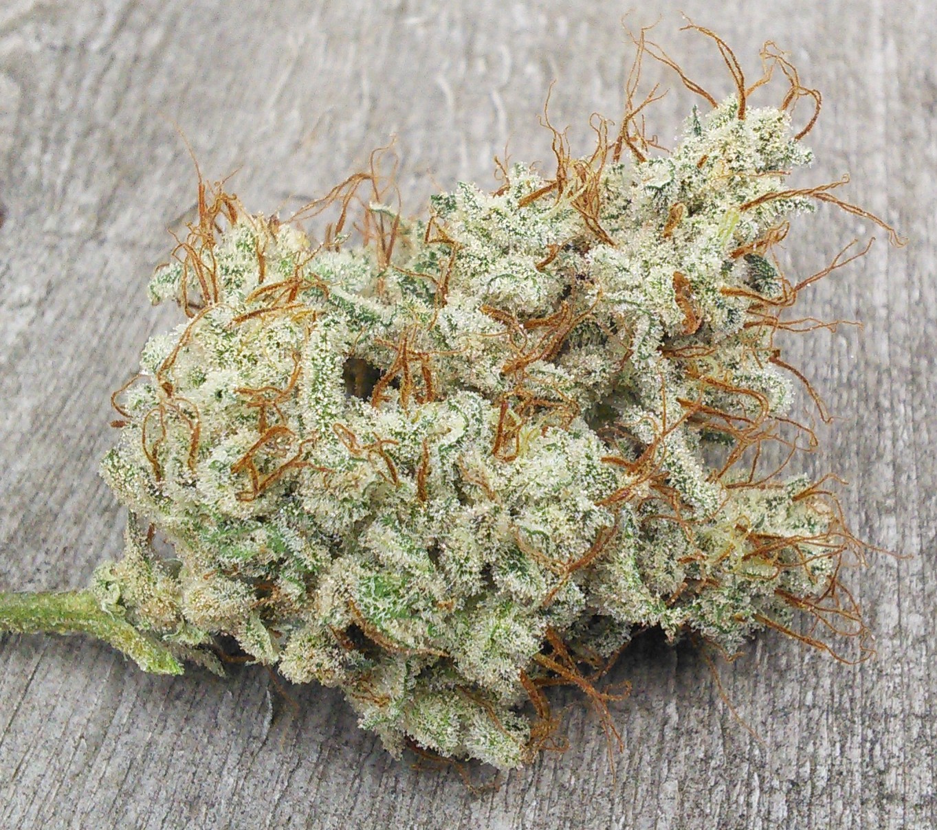 Double Grape