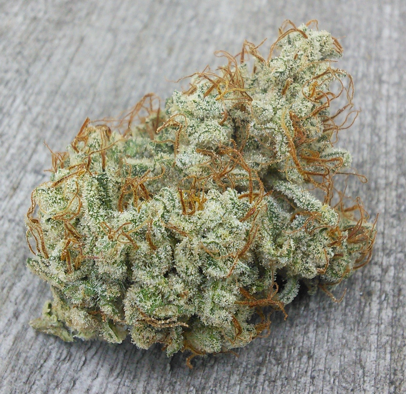 Double Grape