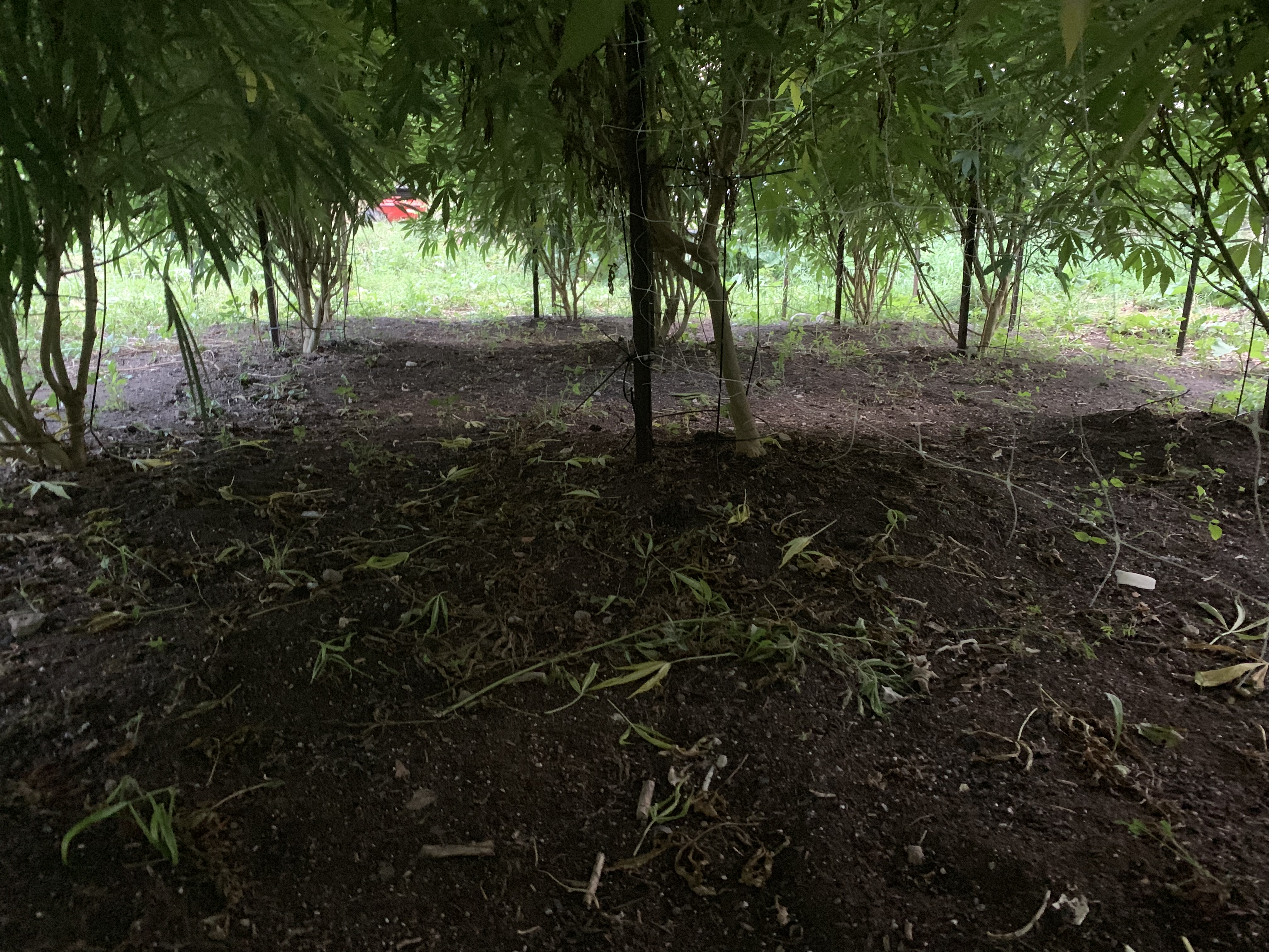 F576018A-1D42-49E0-ACC3-499CE7D7330C