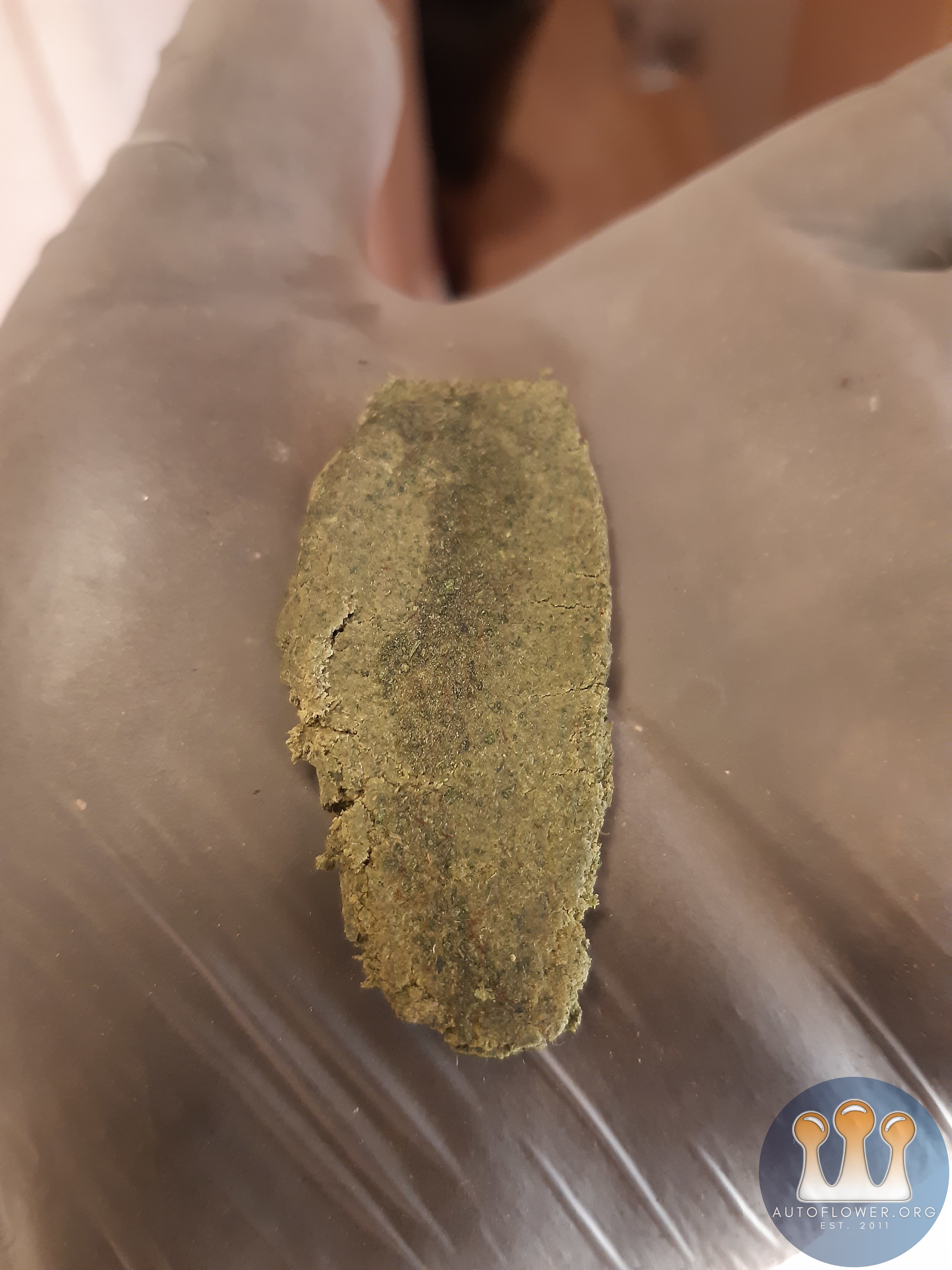 Finger hash got a decent bubble to it