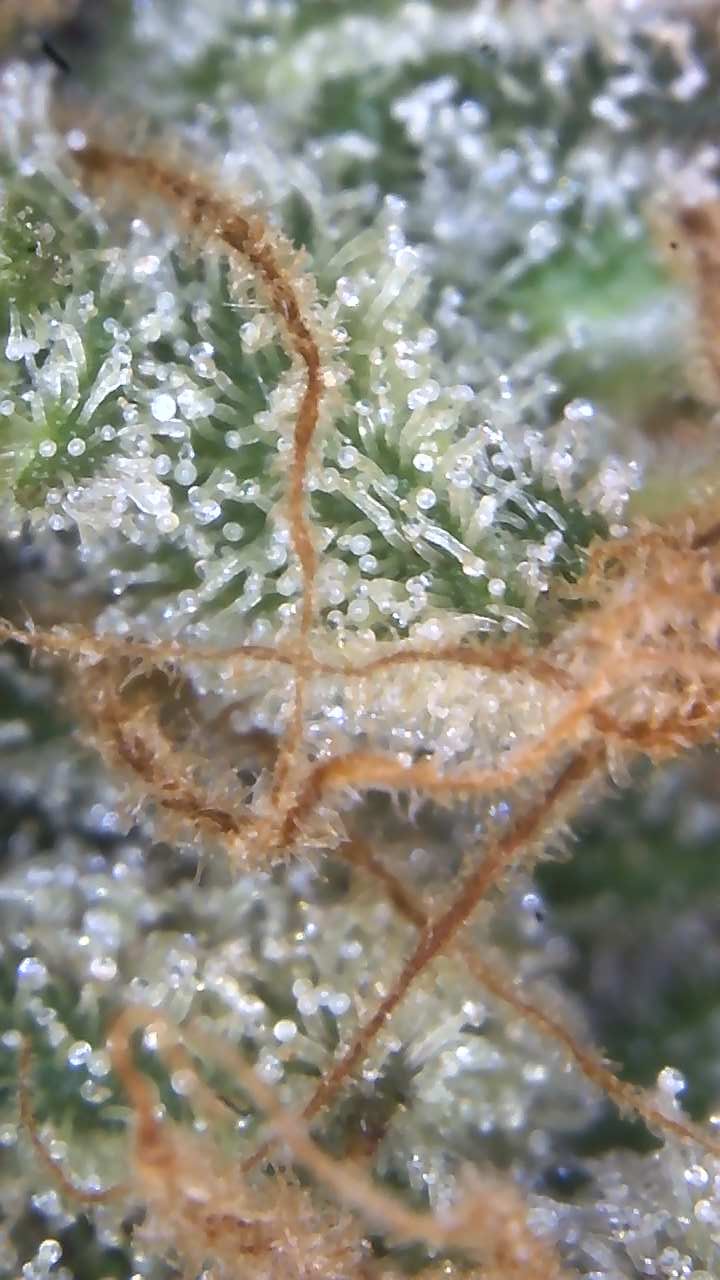 Image_2025-11-02 07_42_33_996.jpg