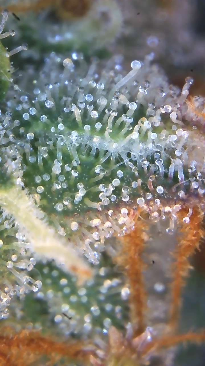 Image_2025-11-02 07_44_36_677.jpg