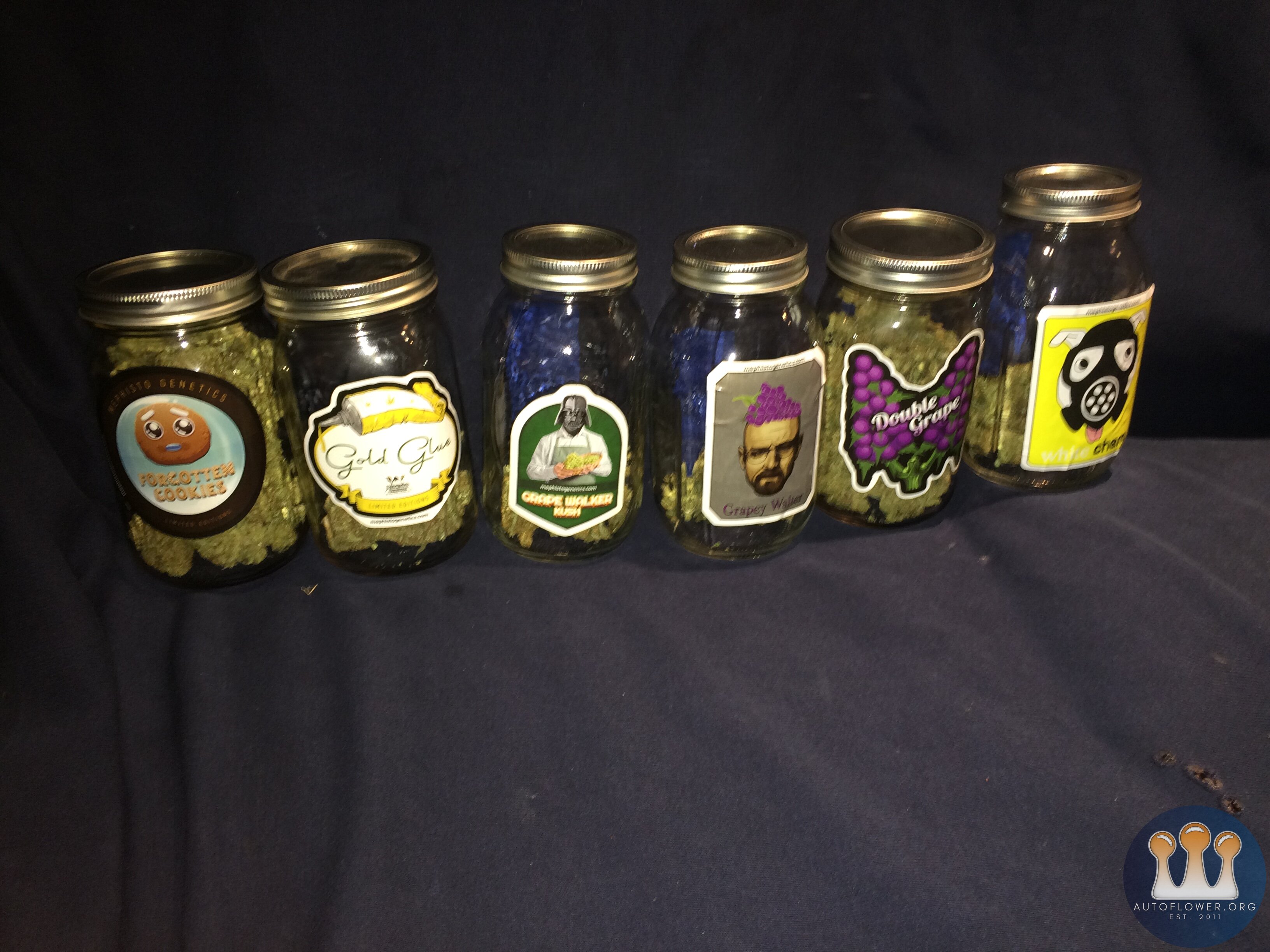 Limited Editions