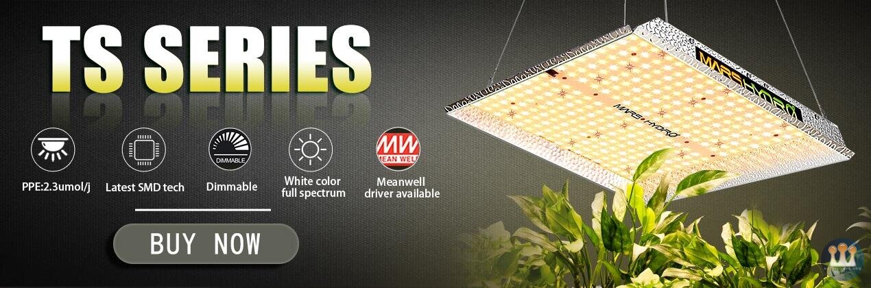 Mars TS light banner