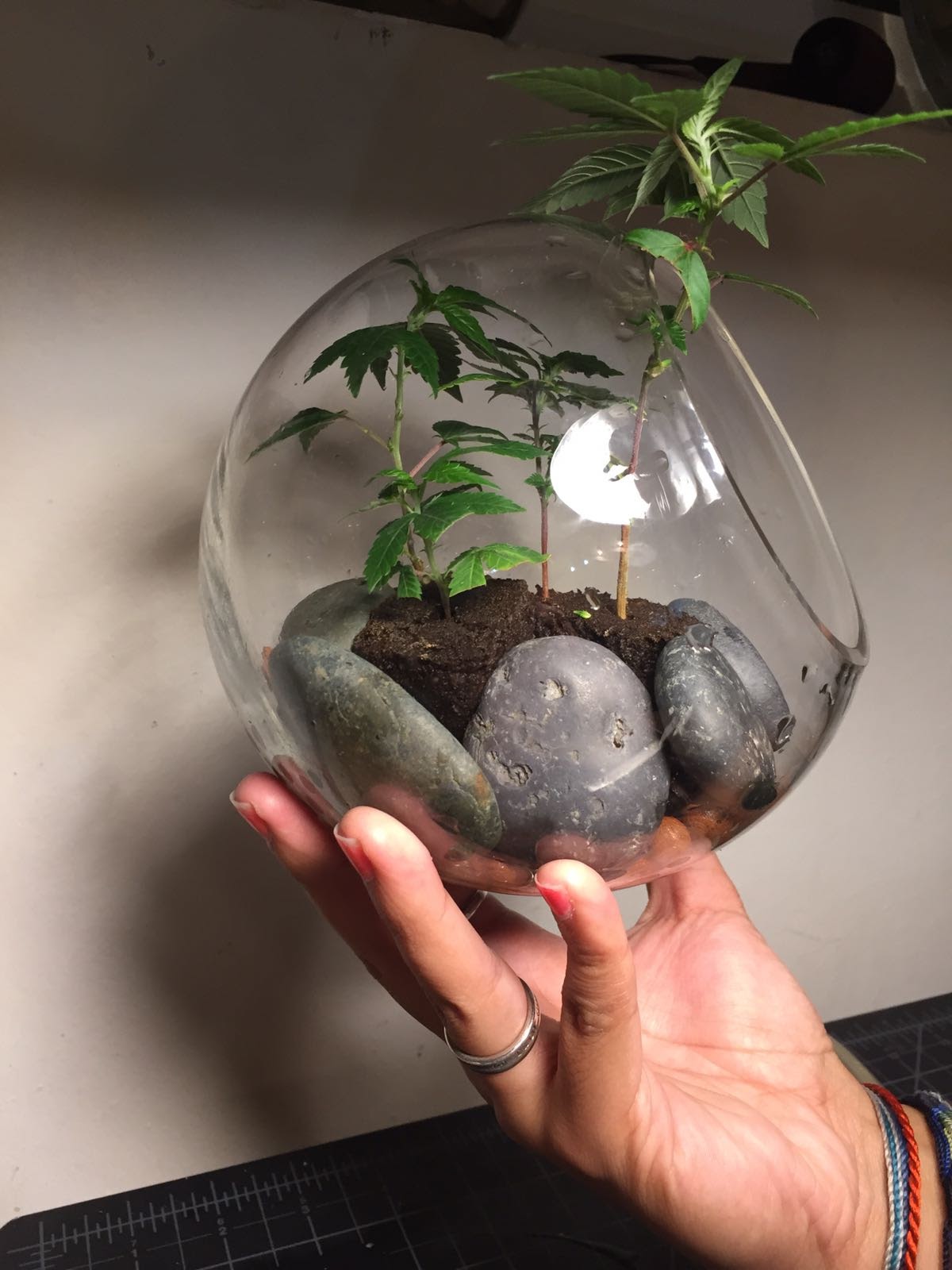 Orb 1