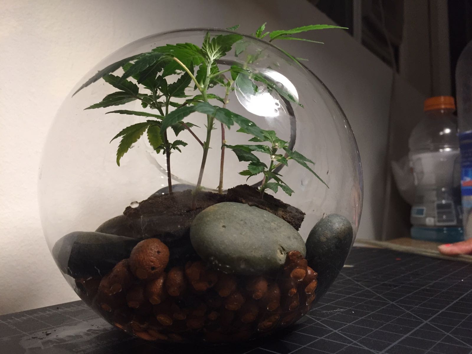 orb2