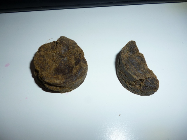 P1020948 (640x480)