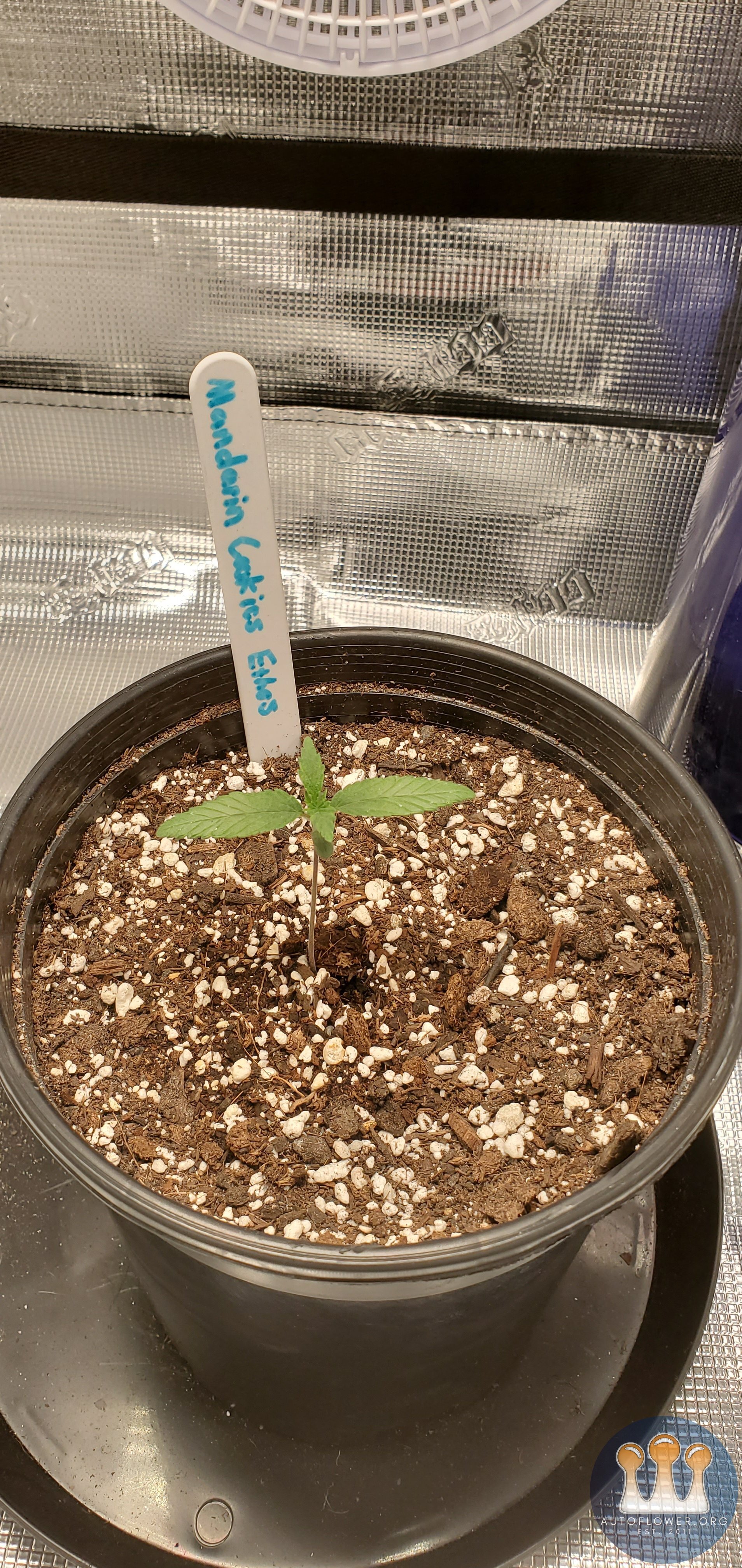 Photo Grow