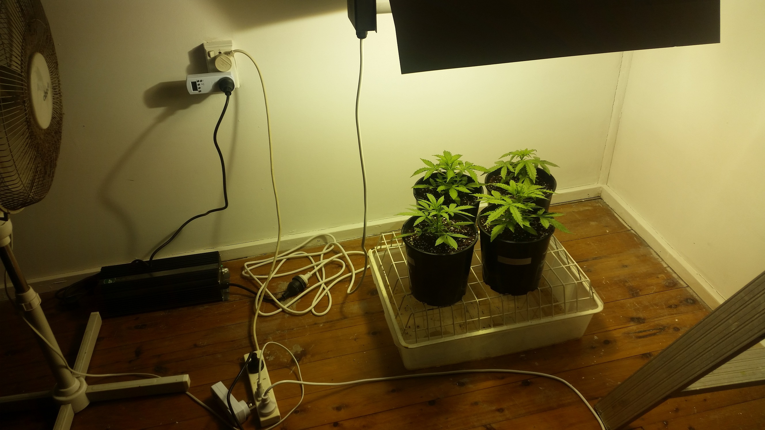 Set Up 4 Jul