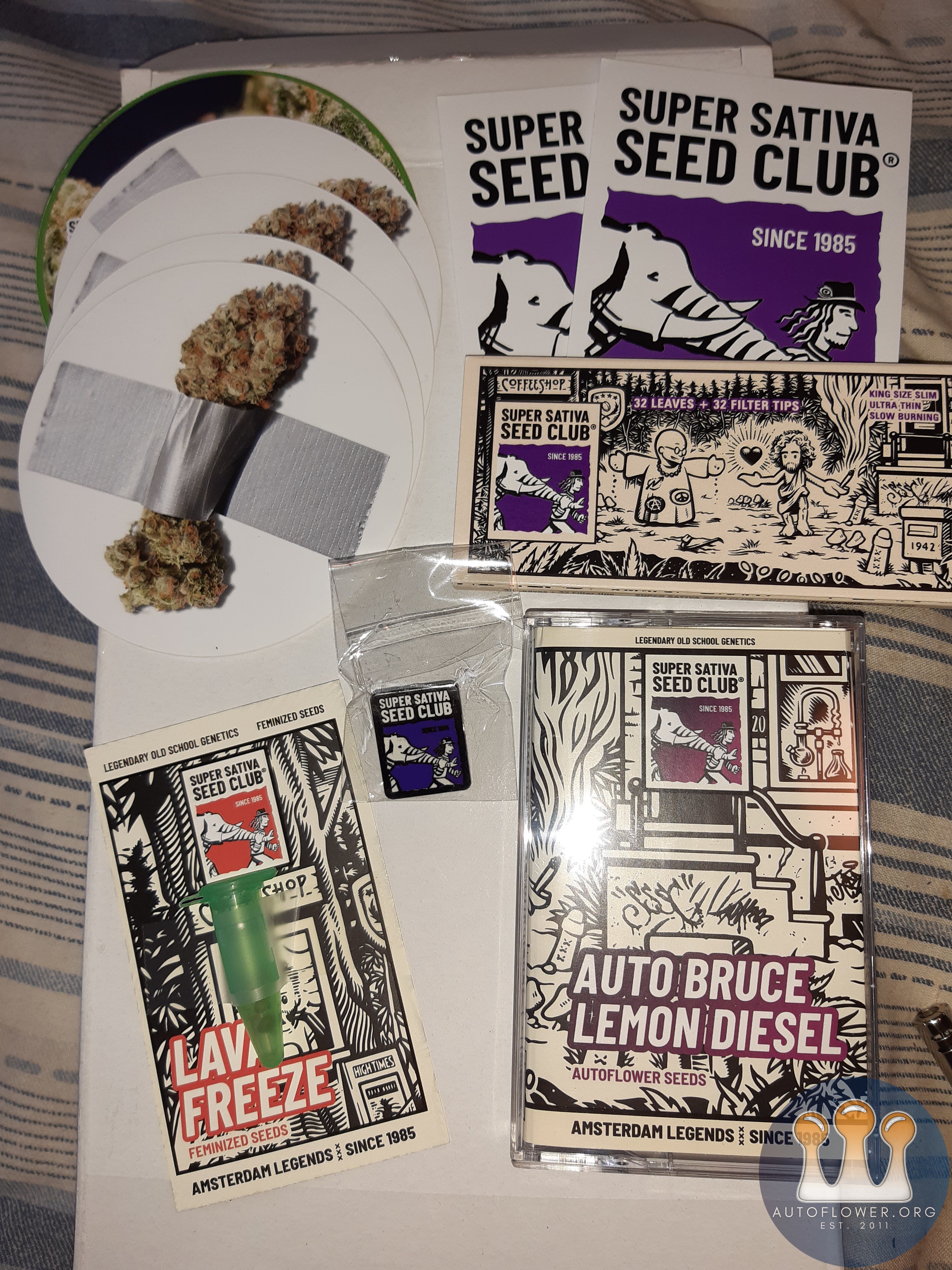 Super sativa seed club