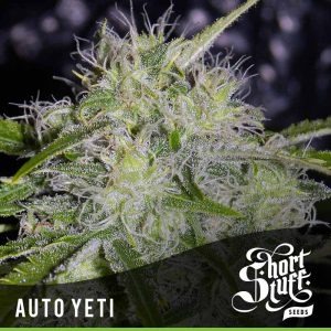 Short_Stuff_Boutique_Yeti-300x300.jpg
