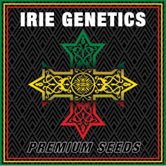 irie-logo.png