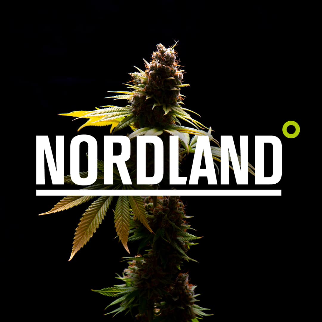 nordland-seeds.dk