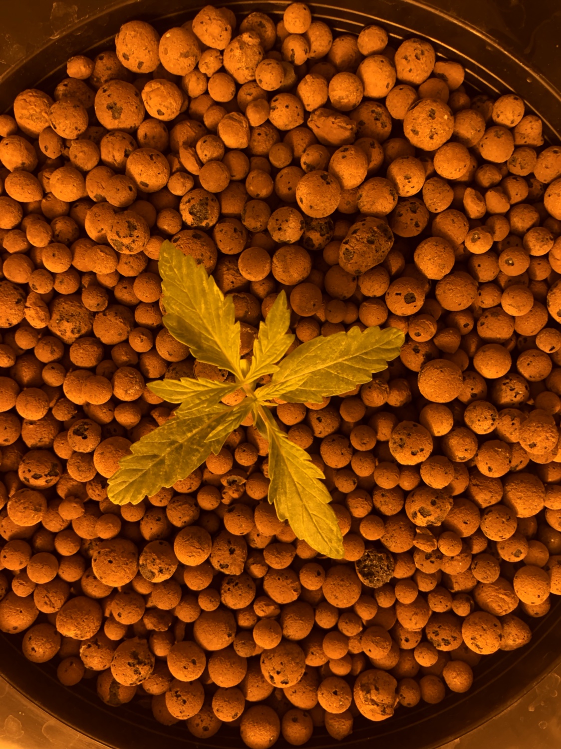 3bee62ad789764ed05bc7731687afd68.jpg
