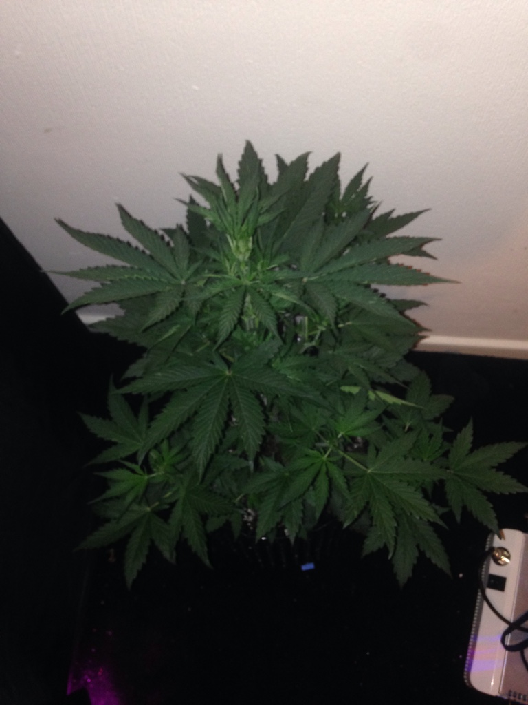 e83cbd6e3bf7a35f0f01b6314aa064bf.jpg