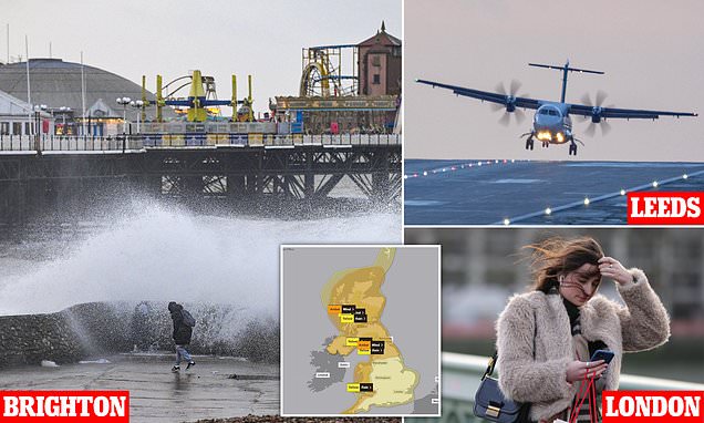 www.dailymail.co.uk