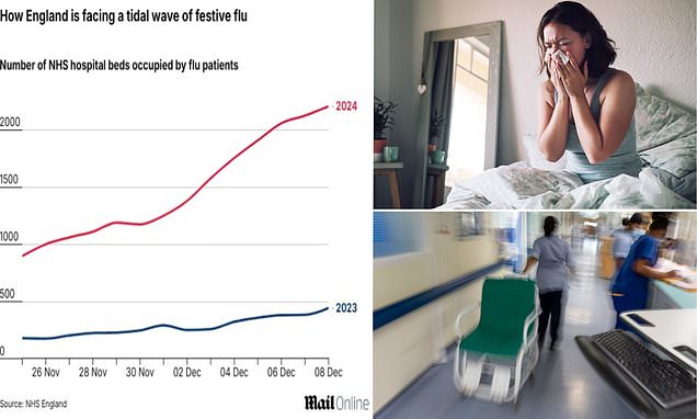 www.dailymail.co.uk
