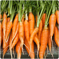 carrots.jpg