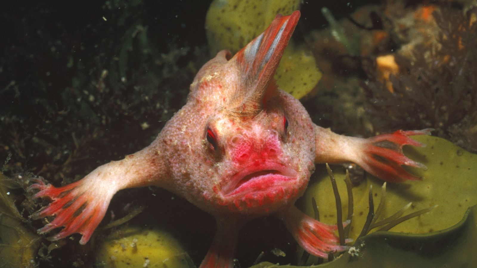 www.livescience.com