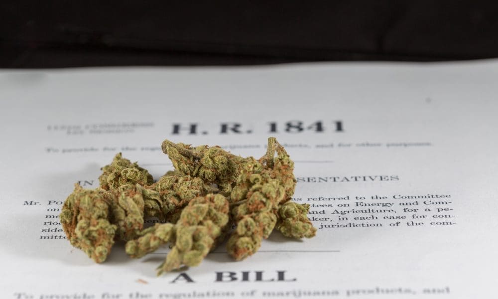 www.marijuanamoment.net