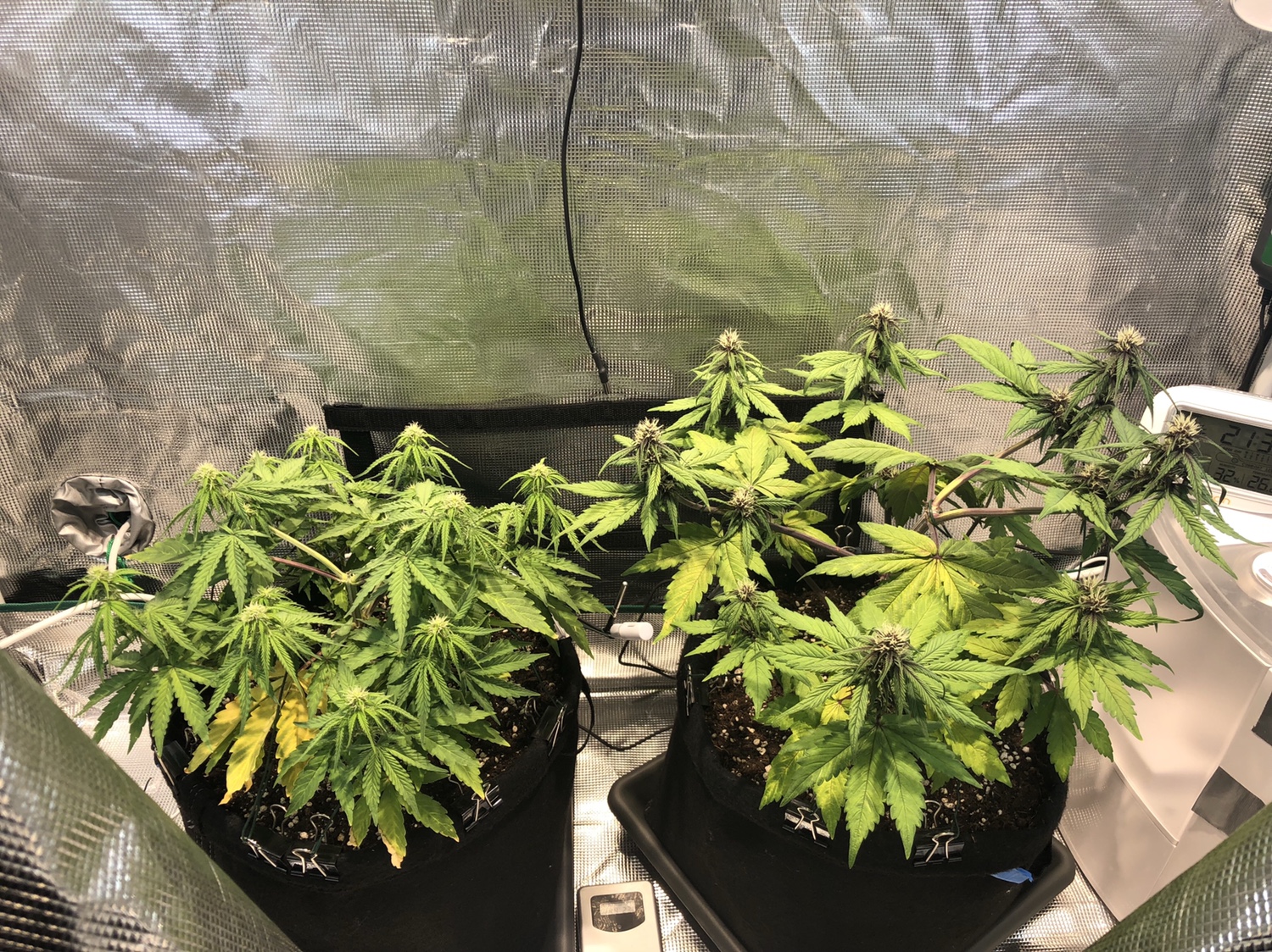 ca4cbd602edc6e0abfb0404dc868fe07.jpg