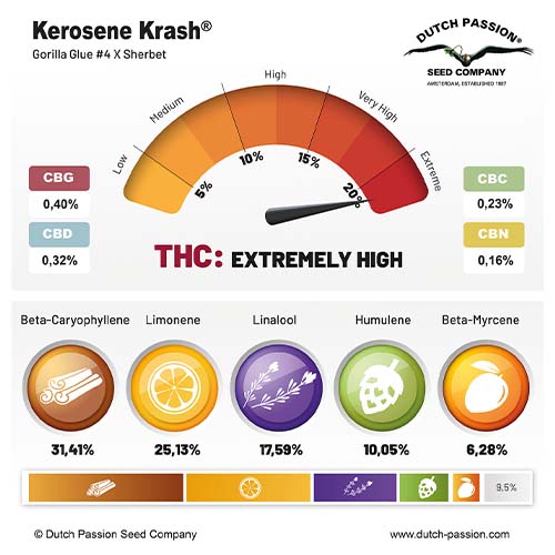 kerosene-krash-cannabinoids-terpenes-profile.jpg