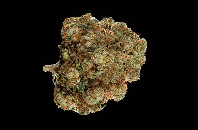 1stPlace_i29_the_og_kush_story_cali_kush_farms_and_greenwolf_la.jpg
