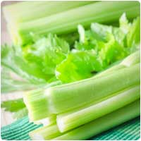 celery.jpg