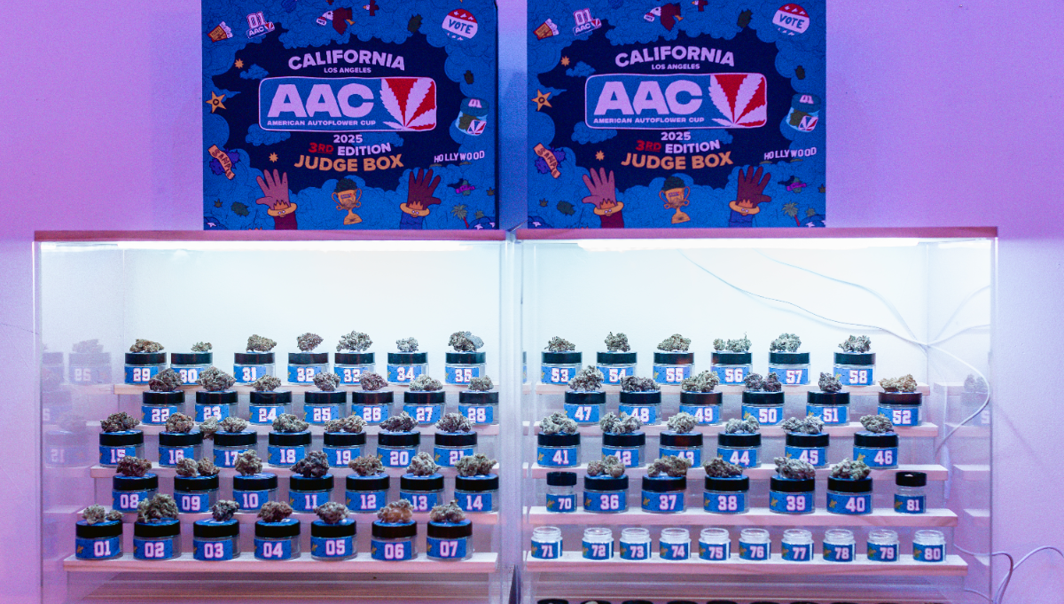 americanautoflowercup.com